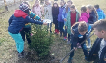 Cerovac poklonio jelku ekološkoj sekciji u Patkovači